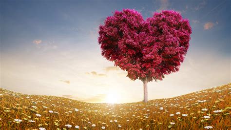 love desktop wallpaper free.